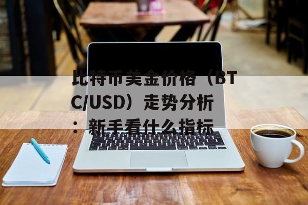 比特币美金价格（BTC/USD）走势分析：新手看什么指标