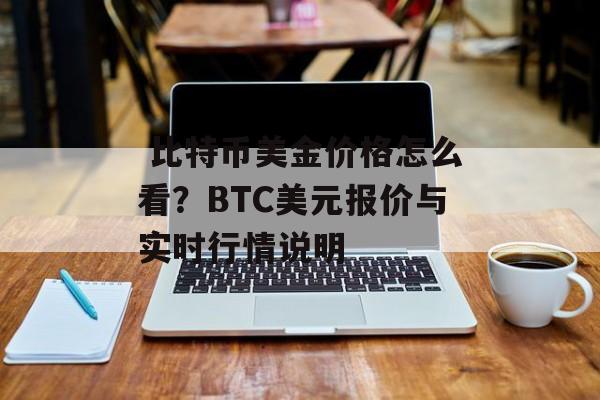  比特币美金价格怎么看？BTC美元报价与实时行情说明