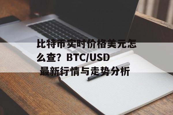 比特币实时价格美元怎么查？BTC/USD 最新行情与走势分析